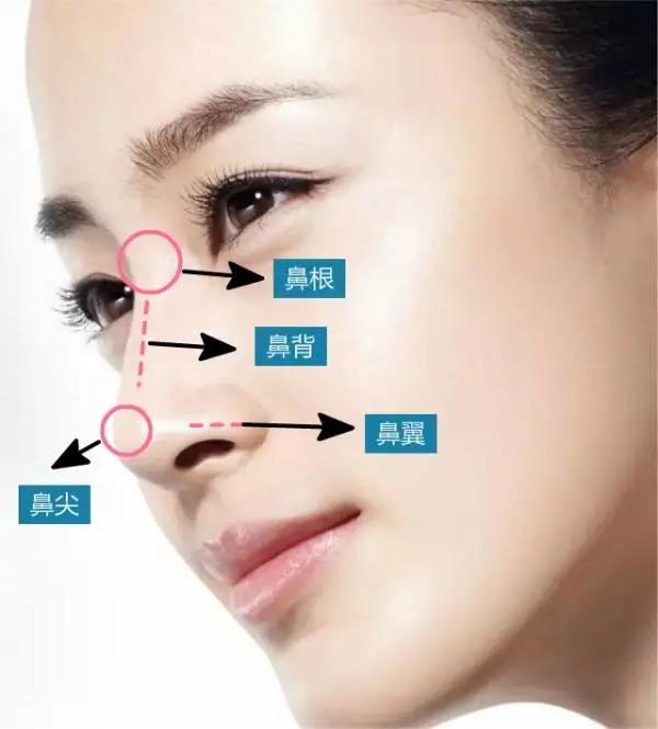 山根起点低的鼻型是什么样的,怎么判断鼻山根高不高