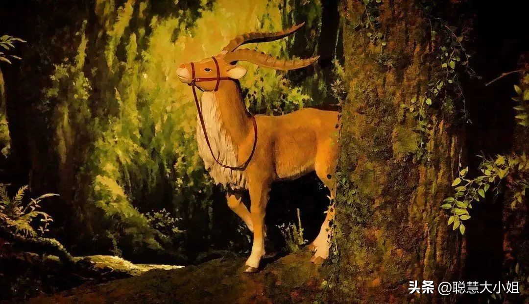 宫崎骏三鹰美术馆完整版,三鹰之森宫崎骏第二弹图鉴