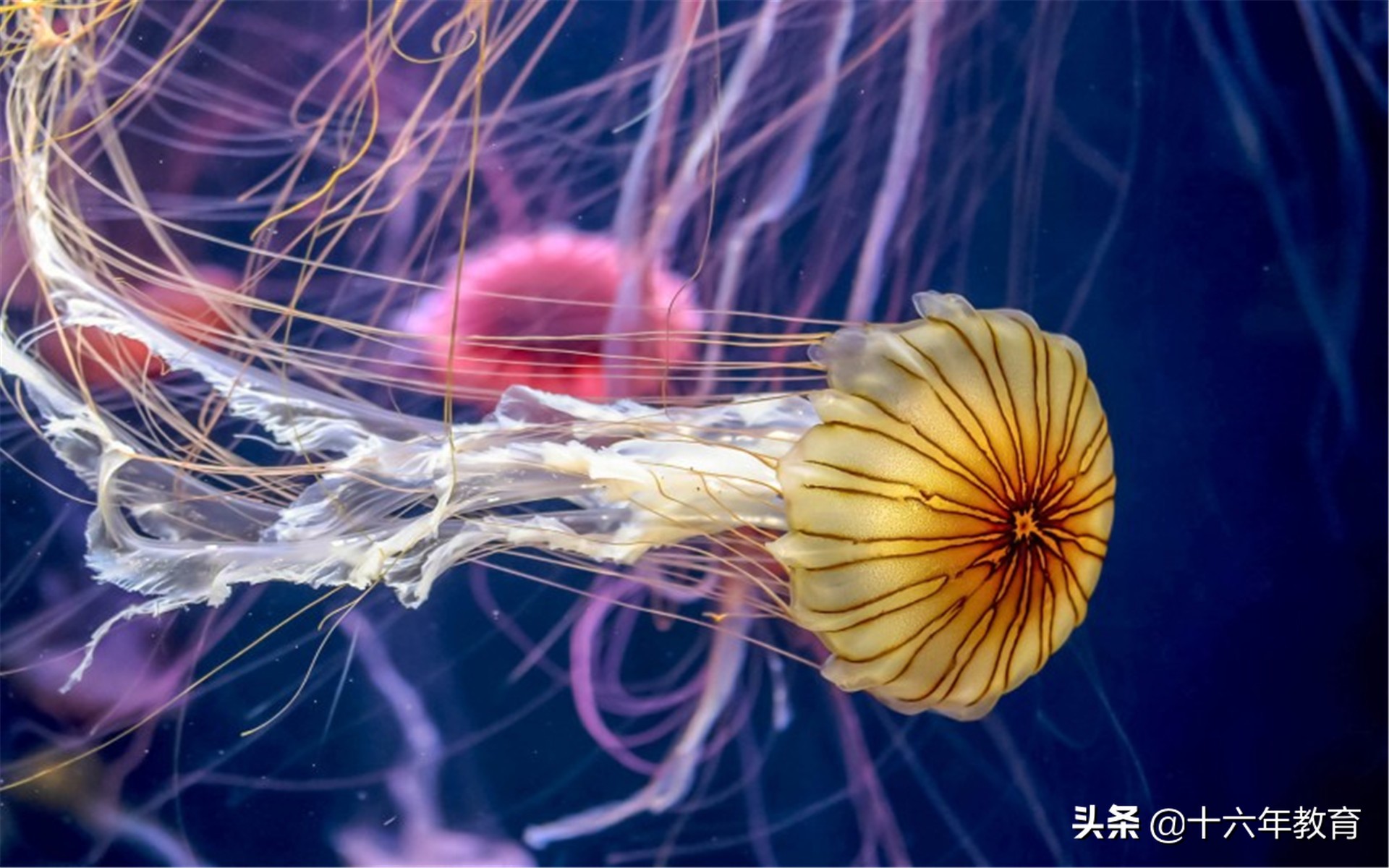 高中生物测验考什么,高中生物必考实验有哪些