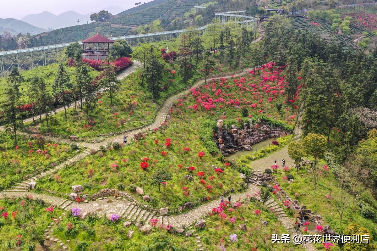 浙江湖州:景美人善不宰客,很多人都忽略了它