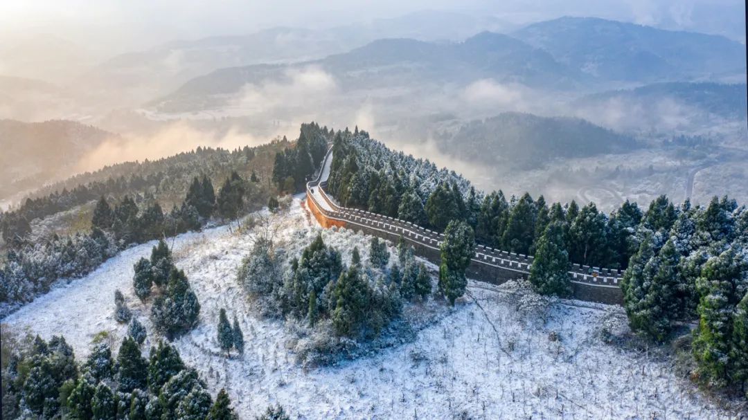 成都向上最新信息,年度向上力量合照