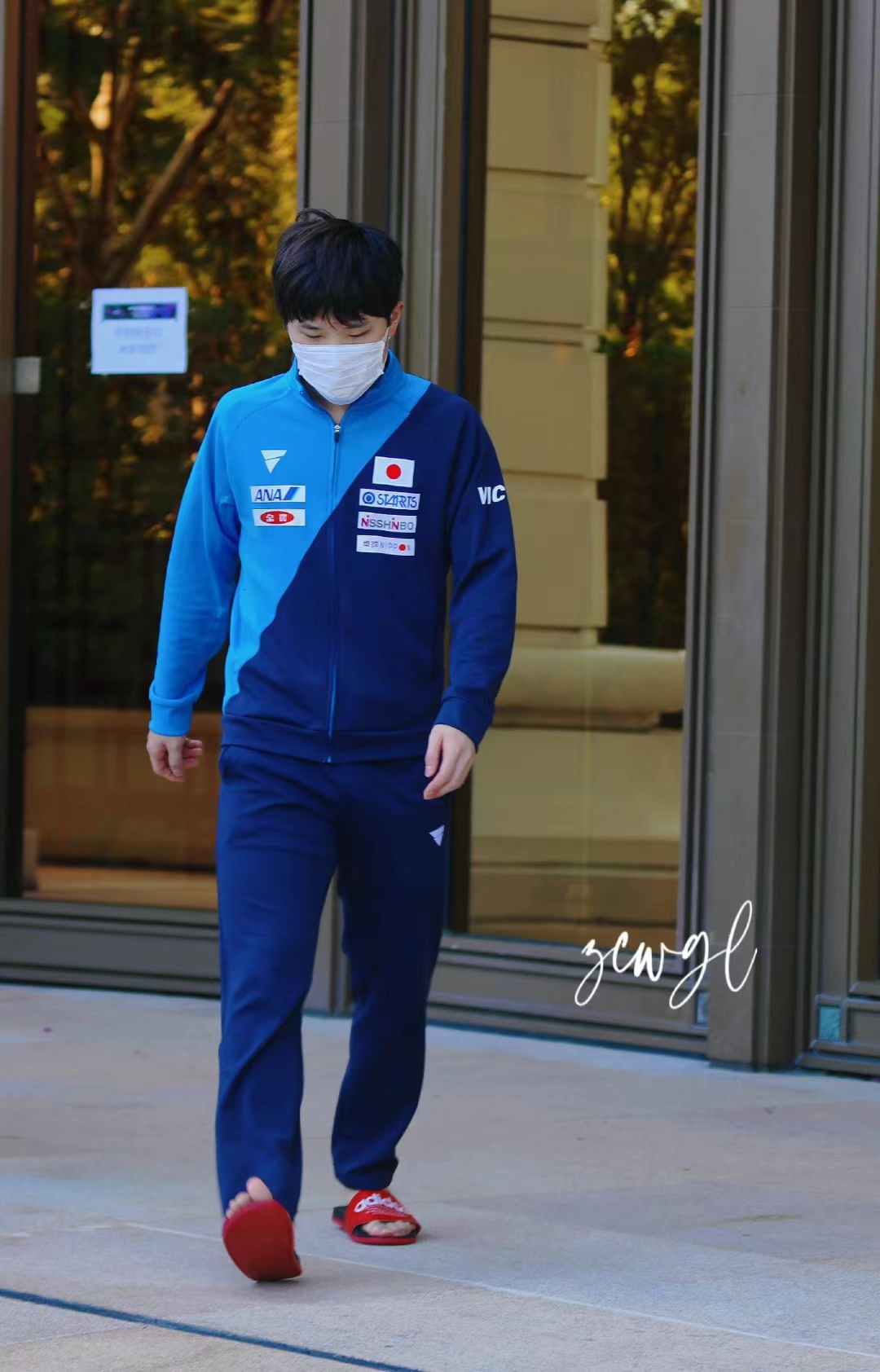 张本智和为啥被叫摩托,张本智和为什么被叫摩托