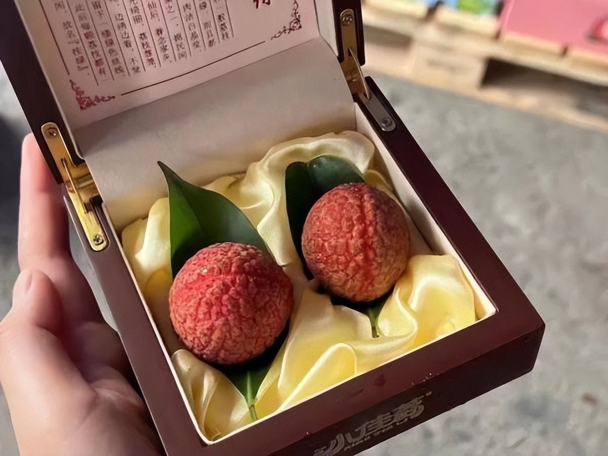 闆硶鍒哄鍚庣画,闆硶鍒哄閲嶅嚭姹熸箹