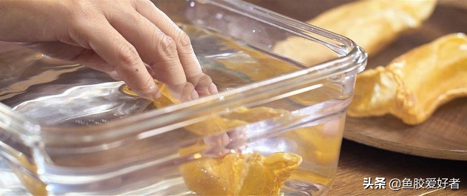泡发厚鱼胶的正确步骤,鱼胶的泡发方法最正确的