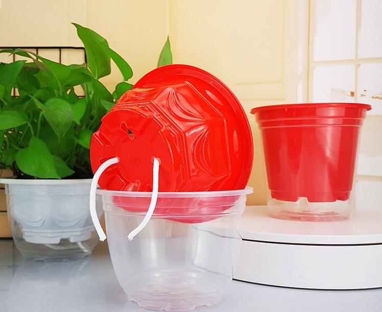 你给花草安的“家”舒心吗？