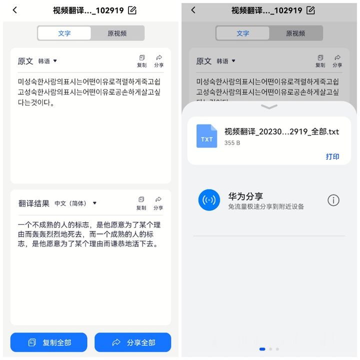 比较好的视频翻译软件推荐,视频实时翻译用什么app
