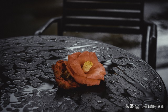 伤感文案关于失落心情经典语录,伤感文案关于失落心情句句戳心