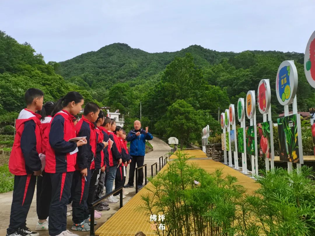 王家坪乡村旅游,佛坪县打造旅游景区