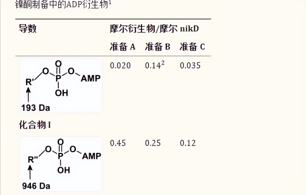 探究移动色氨酸是*霉素黄**抗生素合成黄素酶中内在电荷转移供体应用