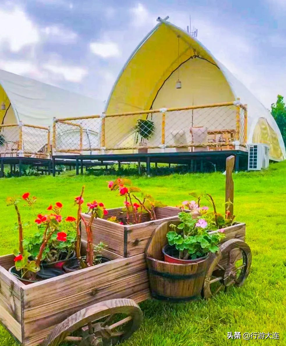 面朝大海,露营自由!5大营地,大连人独有的小欢喜来了