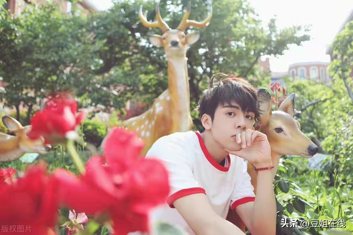 娱乐资讯早知道杨紫黄景瑜曾舜晞罗云熙黄俊捷马丽