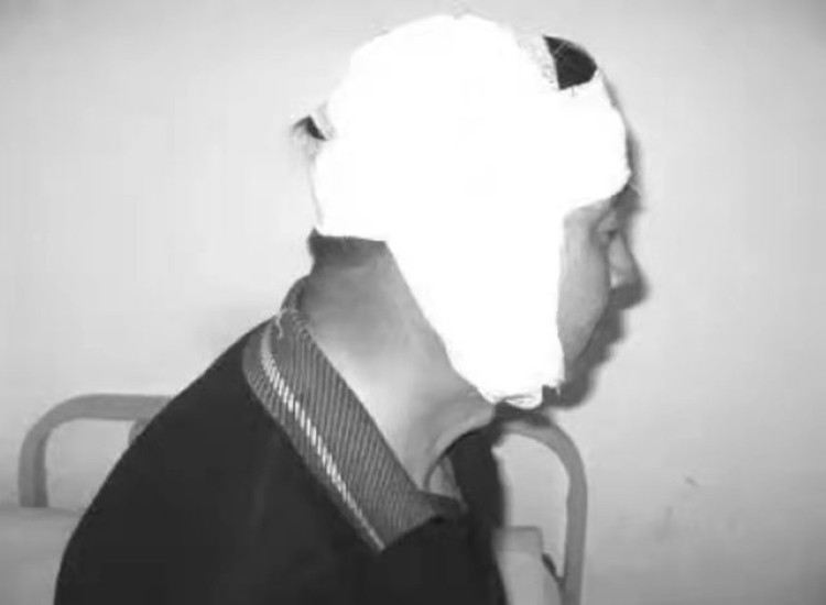 金雕袭击人,金雕袭击人类事件