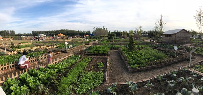 世界上最孤独的国家有多孤独？节假日商铺全关，却令无数人向往