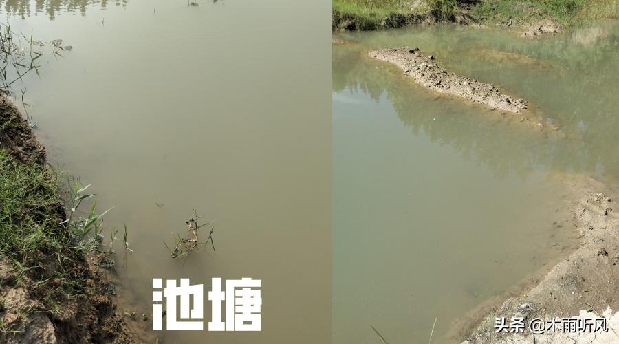 养螃蟹怎么养喂什么吃,螃蟹养殖方法和注意事项