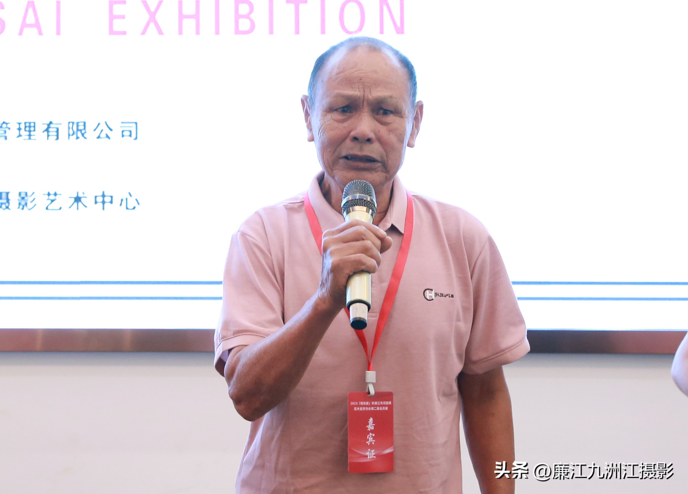 最高端的盆景展,一场惊艳的盆景展