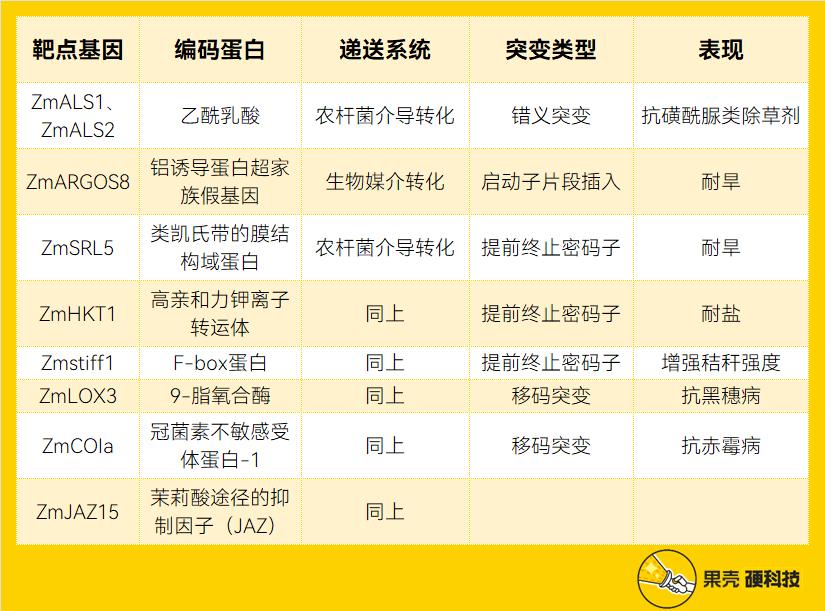 喂饱100亿人的技术，中国准备好了吗？