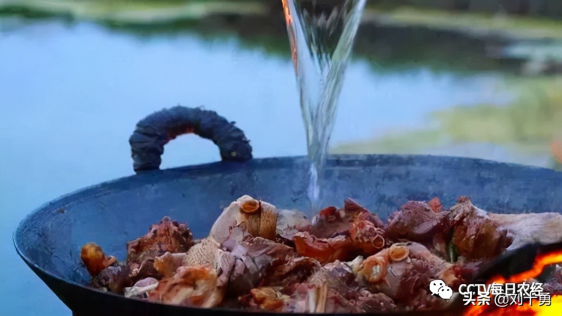 人间美味的动物有哪些,大雁做法和营养价值