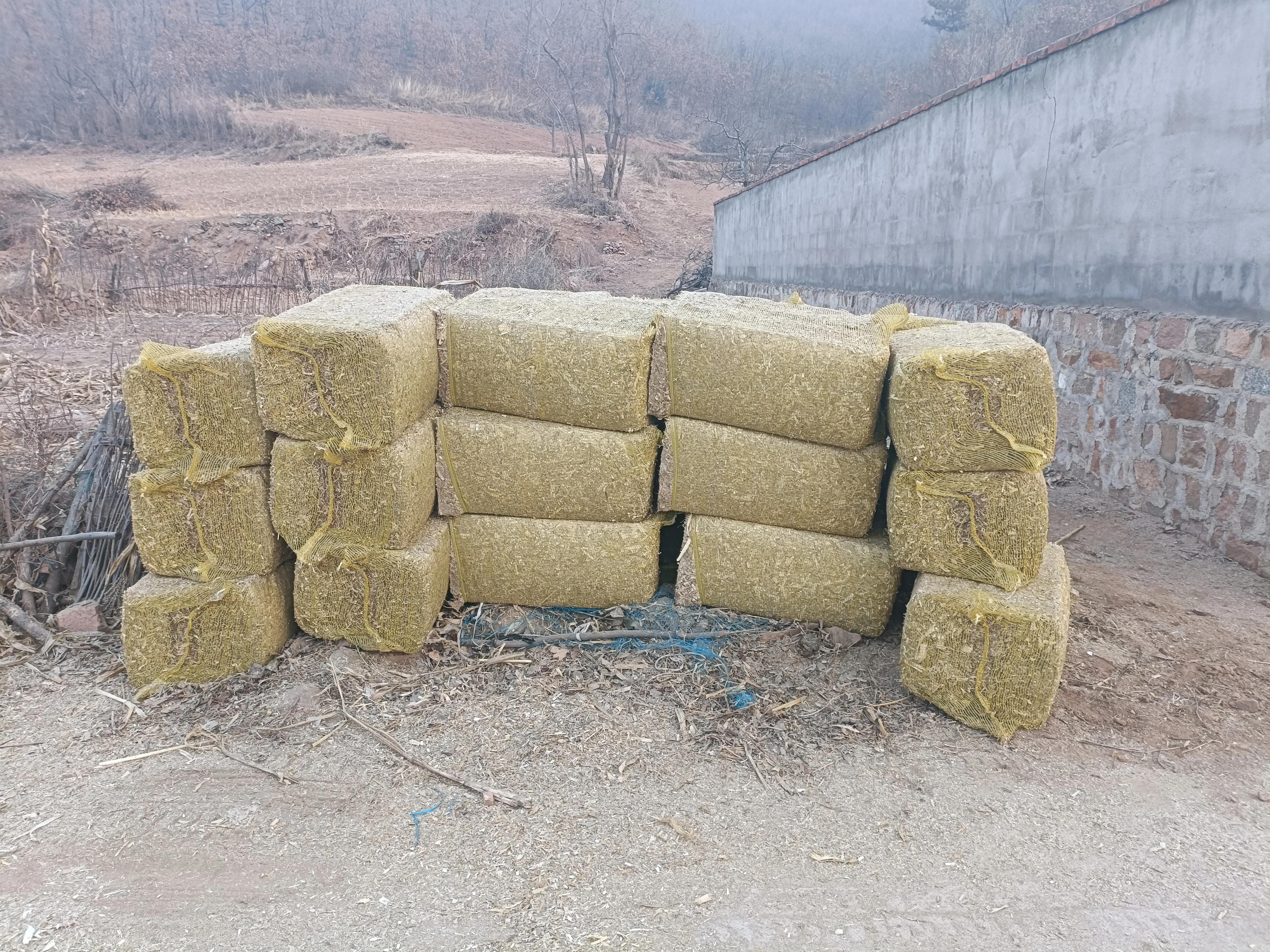 在农村有什么简单快速的赚钱方法,农村你应该知道的赚钱方法