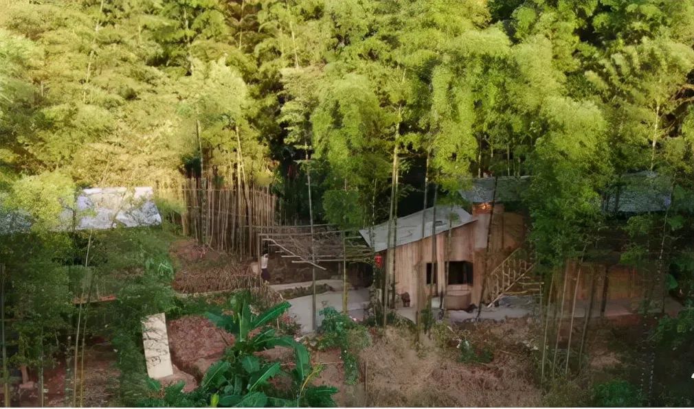 论一个川妹子有多会做菜？泸州妹子吴秋月，用小萝卜干带动大产业