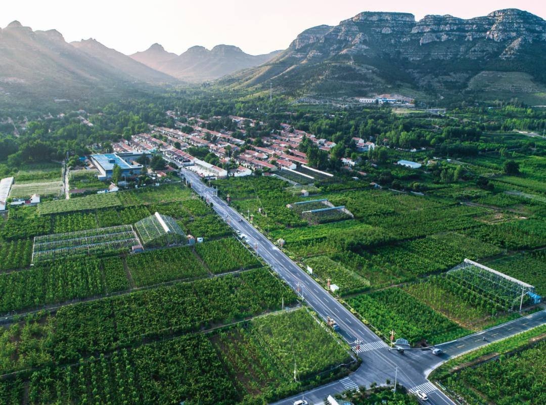 逛吃逛吃歌曲,逛吃逛吃