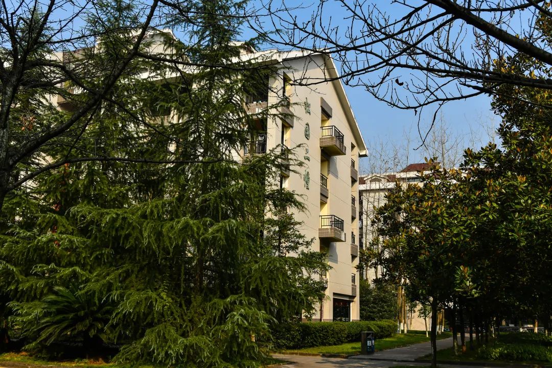 高考顺利！欢迎你来重庆，续写与重大的未来故事