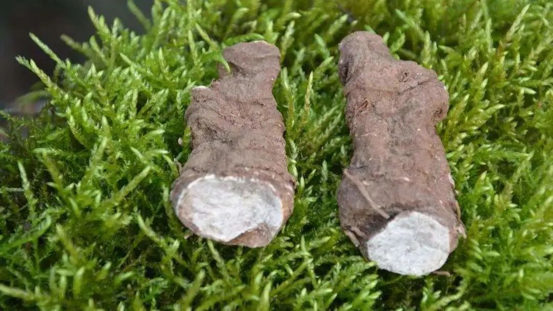 成都有哪些国家地理标志农产品,四川成都特色农产品