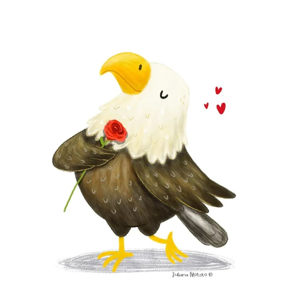 鸟类插画大全,鸟类插画艺术欣赏