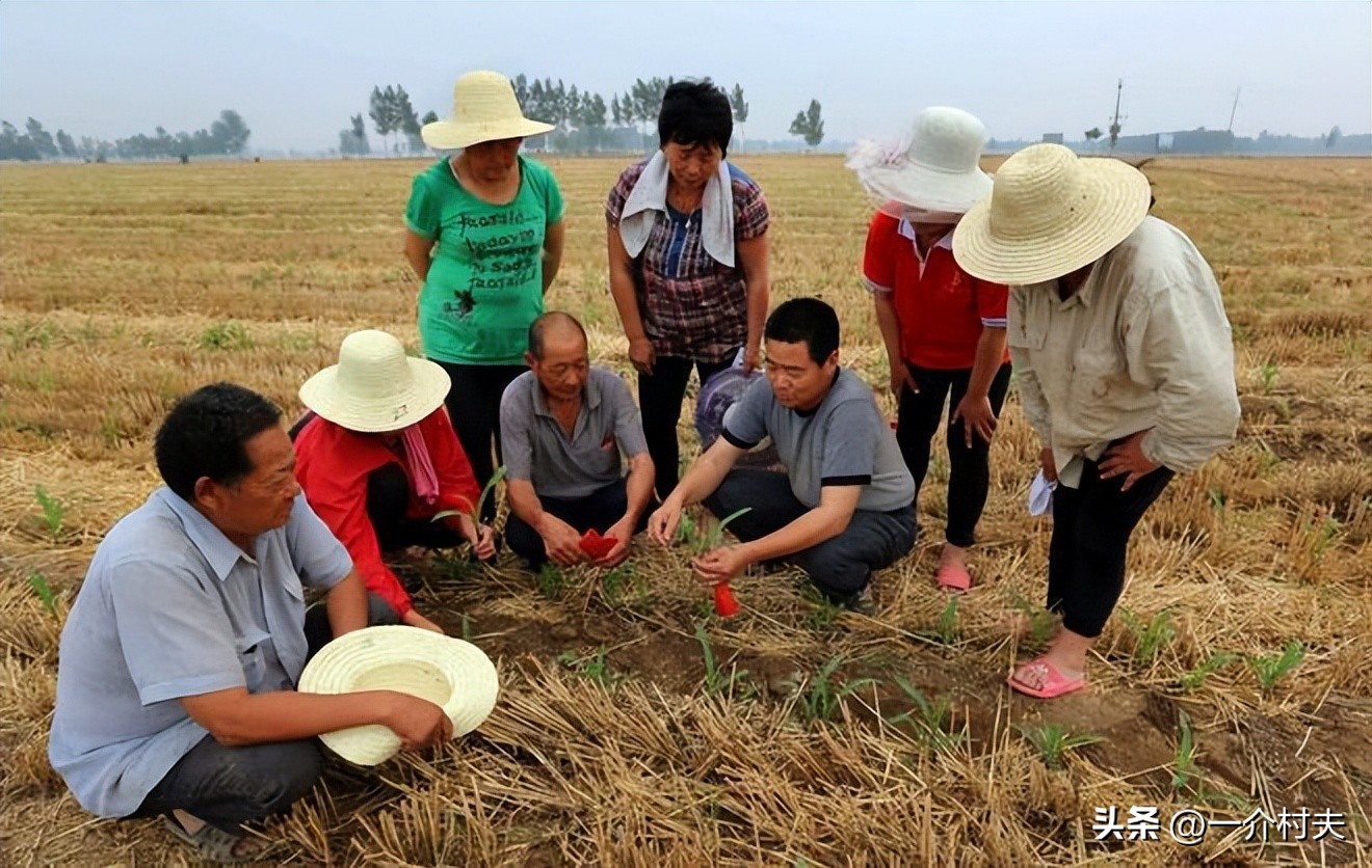 农村土地以后怎么耕种与承包,农村土地承包有没有变动