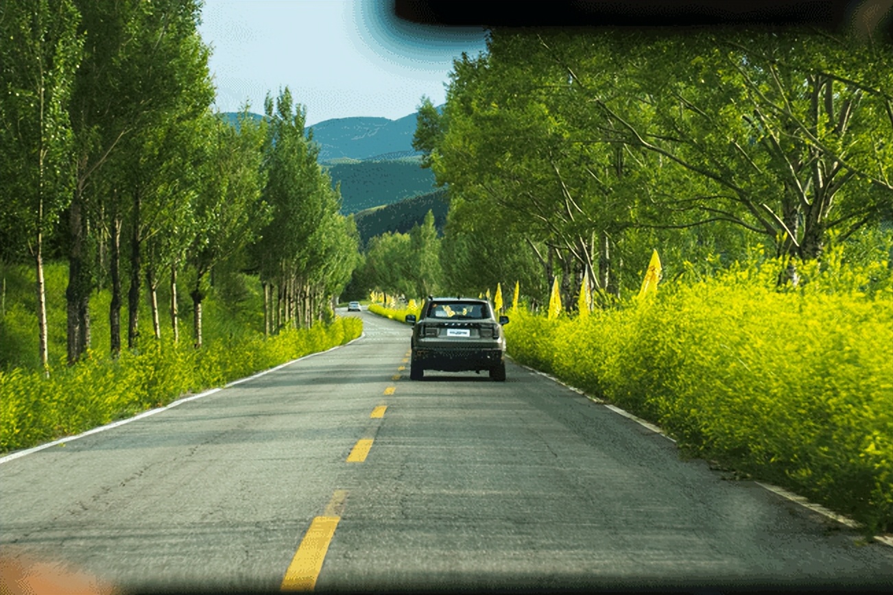 哈弗大狗追猎版测试,哈弗大狗追猎版M档位