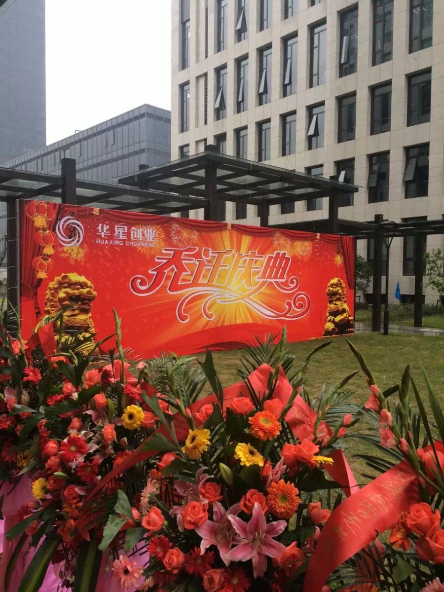 瑞安黑马,浙江富阳黑马90后