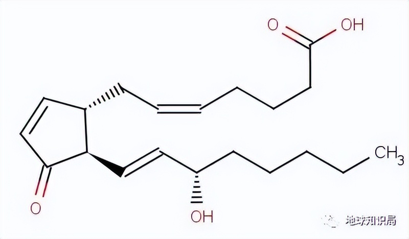 切除子宫的人会免疫力低吗,切除子宫的人寿命长吗