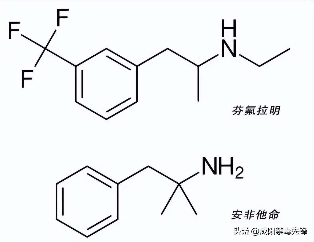 “一天一斤”、“绝不反弹”，朋友圈里那些有“毒”的网红*肥药减**
