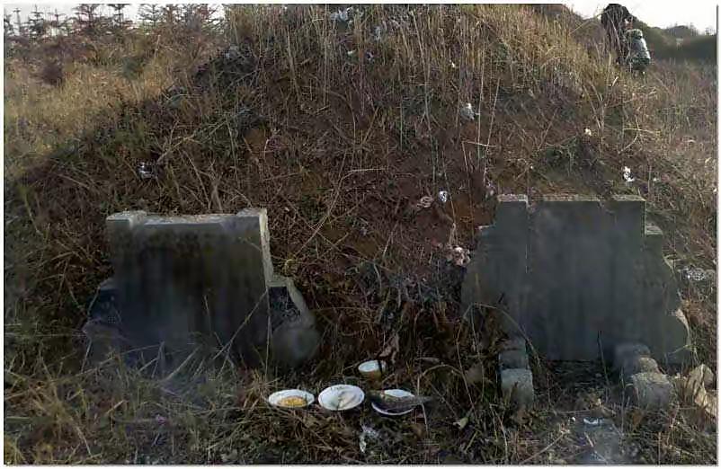 坟旁生三树子孙后代富是啥意思,农村俗语坟前生洞子孙穷