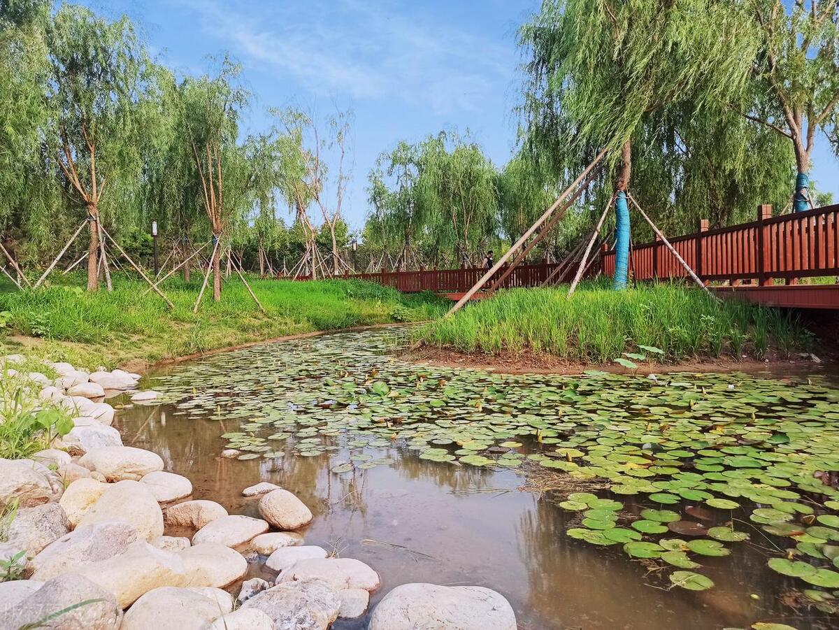 十一北京大兴周边旅游景点推荐,北京大兴黄村旅游攻略