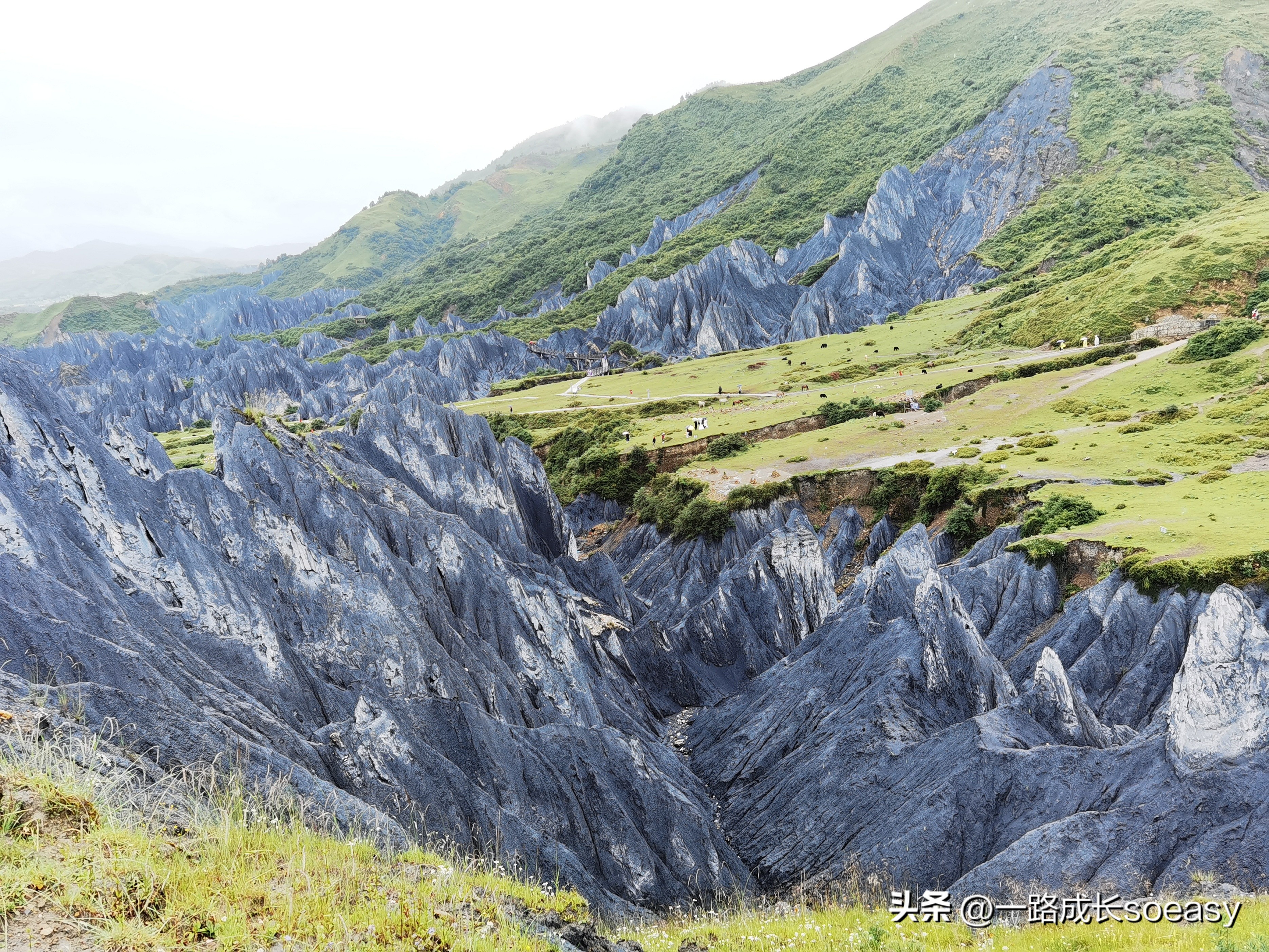 川西阿坝甘孜自驾游最佳线路图,甘孜阿坝三日游路线推荐