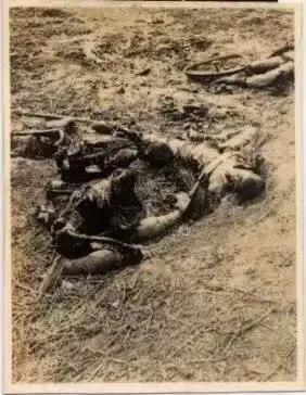 七七事变之后日本有哪些侵华行为,七七事变日本全面侵华时间