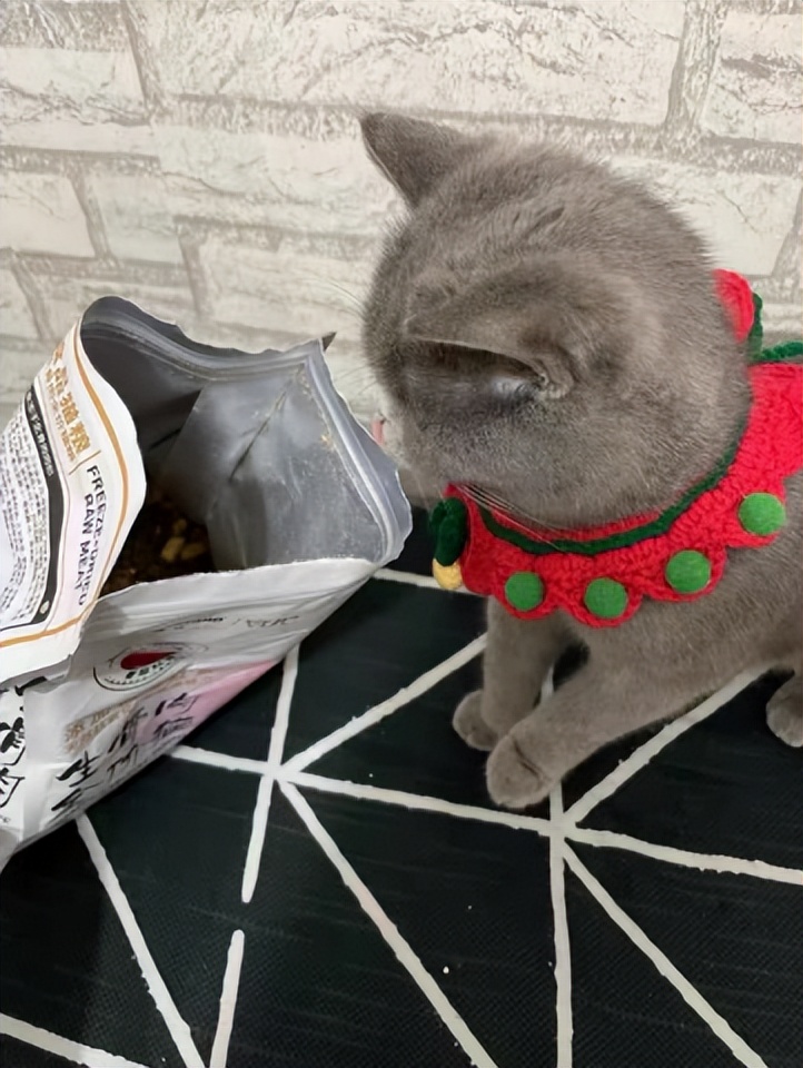 美国进口喵达全猫粮幼猫可以吃吗,喵达冻干猫粮怀孕的猫咪能吃吗