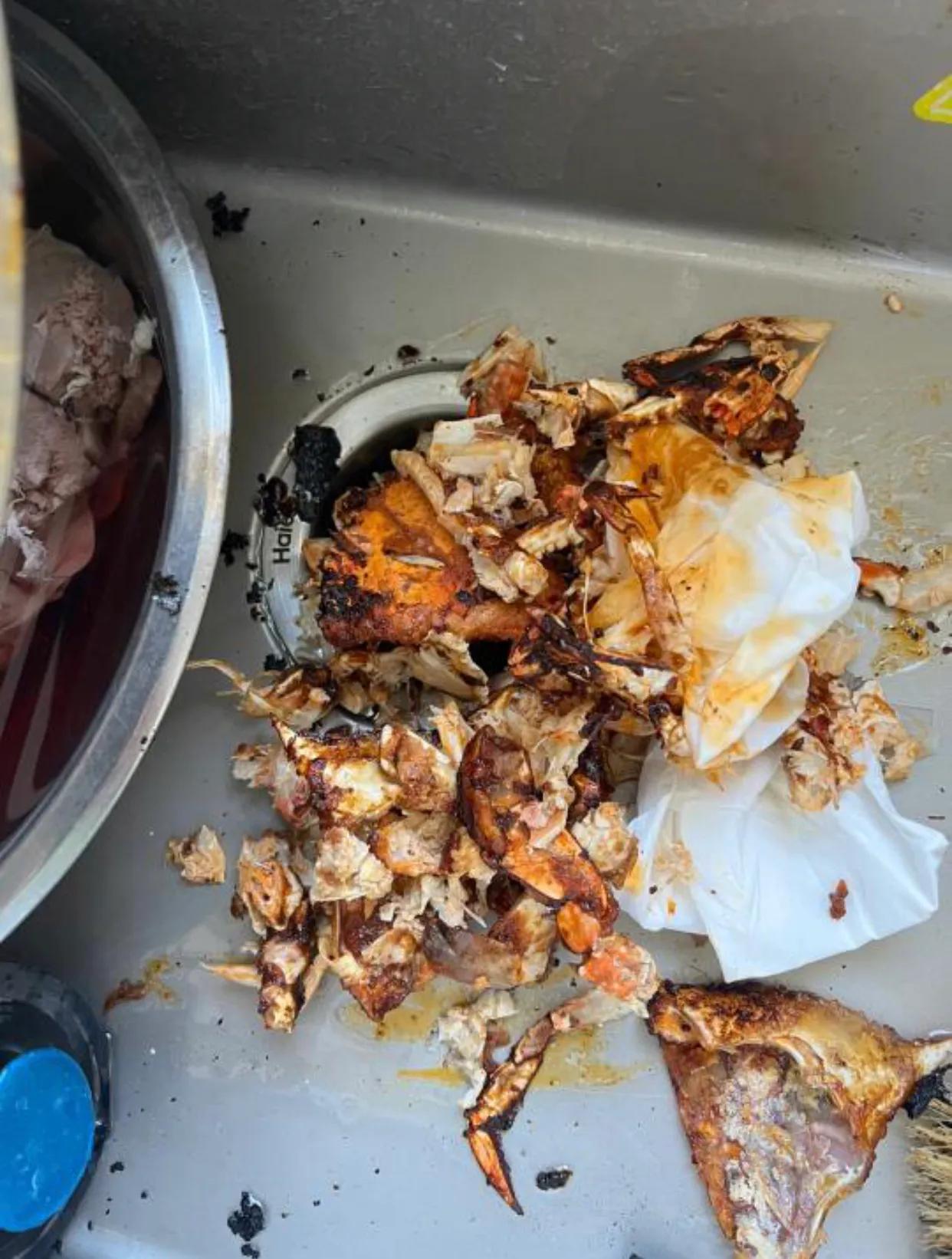 垃圾处理器家用缺点,垃圾处理器值不值得用