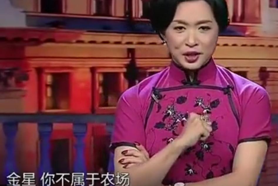 艺术家金星,中国当代艺术家金星