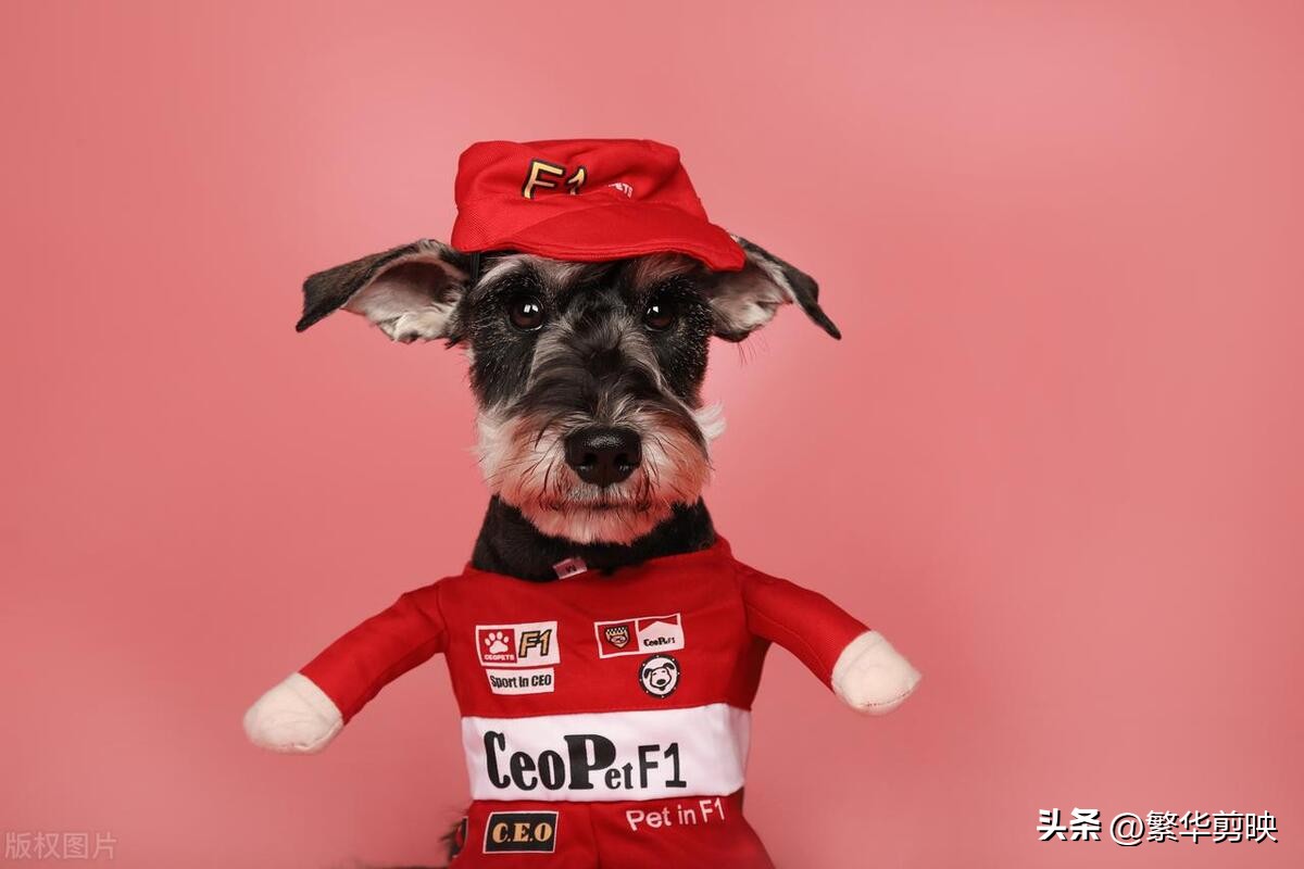 笑抽筋的搞笑幽默段子,幽默段子经典笑话笑到抽筋