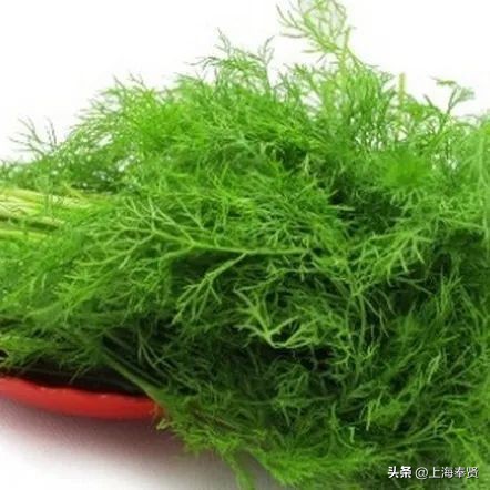 孕妈健康食谱,孕妈应该怎么饮食对宝宝好