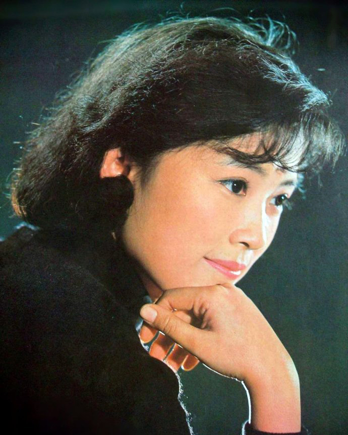 最佳女演员金鸡奖颁奖词,刘晓庆奚美娟金鸡影后