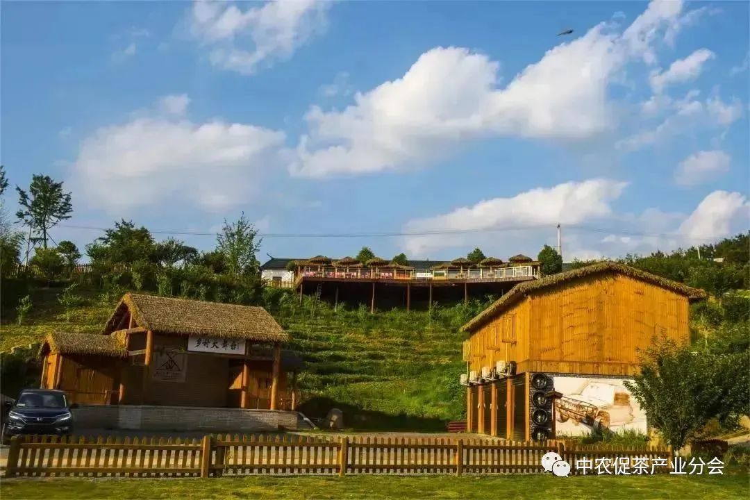 娌冲崡淇￠槼绾㈠煄鑼朵埂,鏂板幙绾㈠煄鑼朵埂