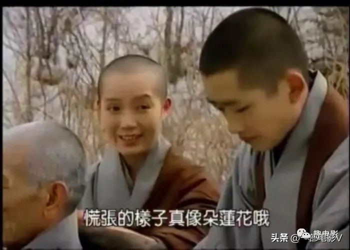 灞卞娈嬭姳,灞卞娈嬭姳楂樻竻