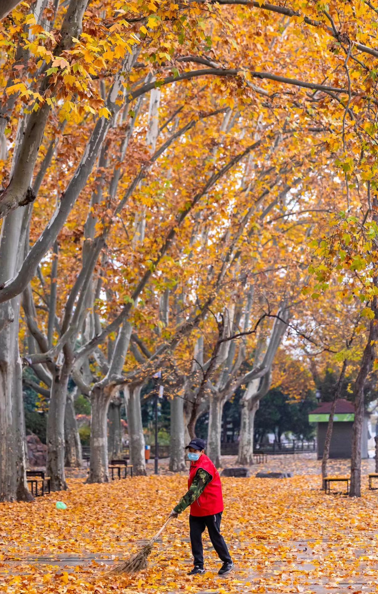 郑州免费开放的公园,郑州最新开放的公园