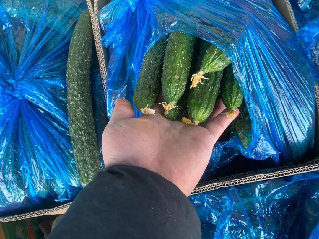 大学生创业卖农产品年入1000,辞职回老家创业卖土特产