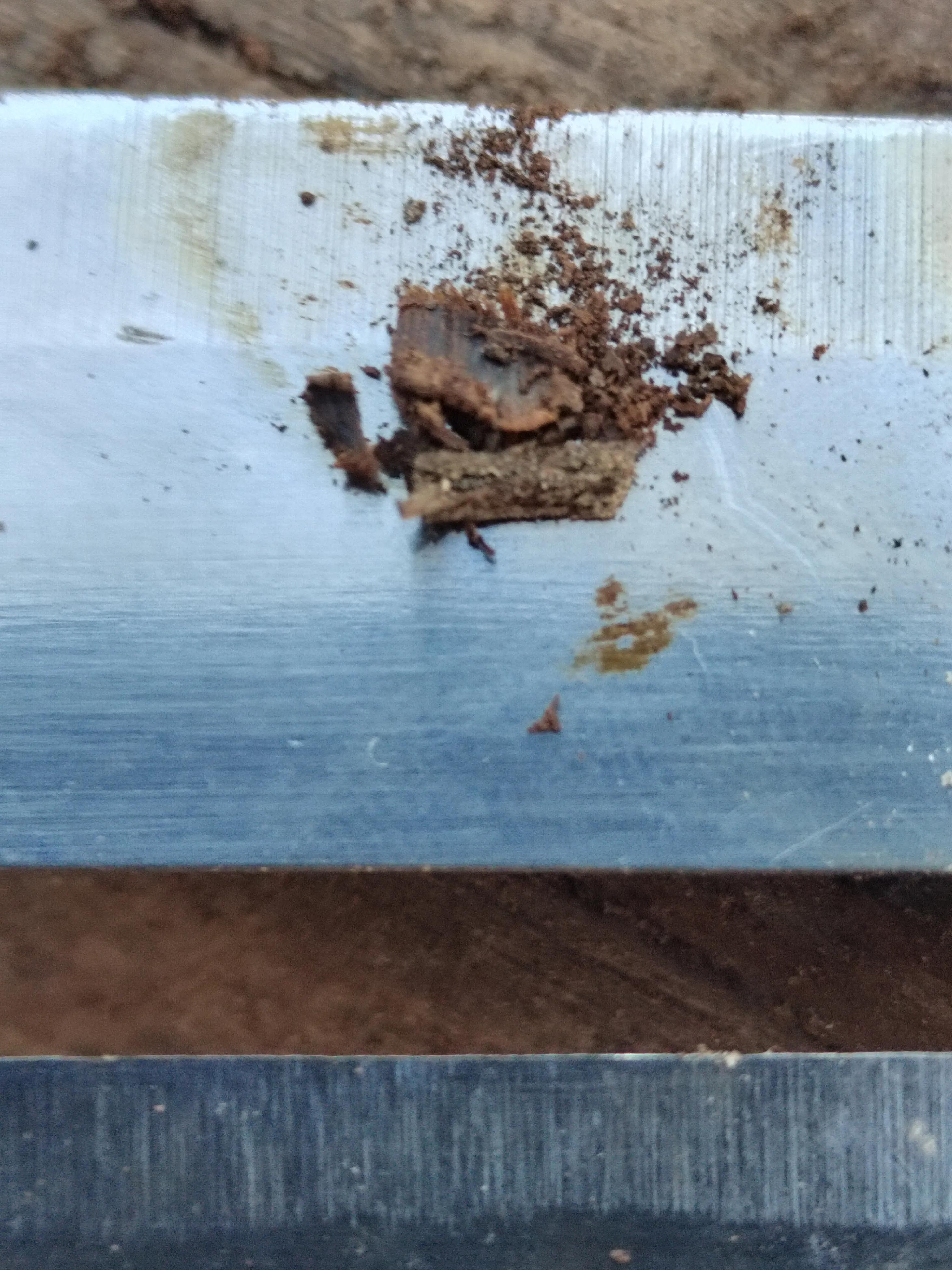 白奇楠莺歌绿奇楠黑奇楠哪个好,黑奇楠和白奇楠沉香哪个好