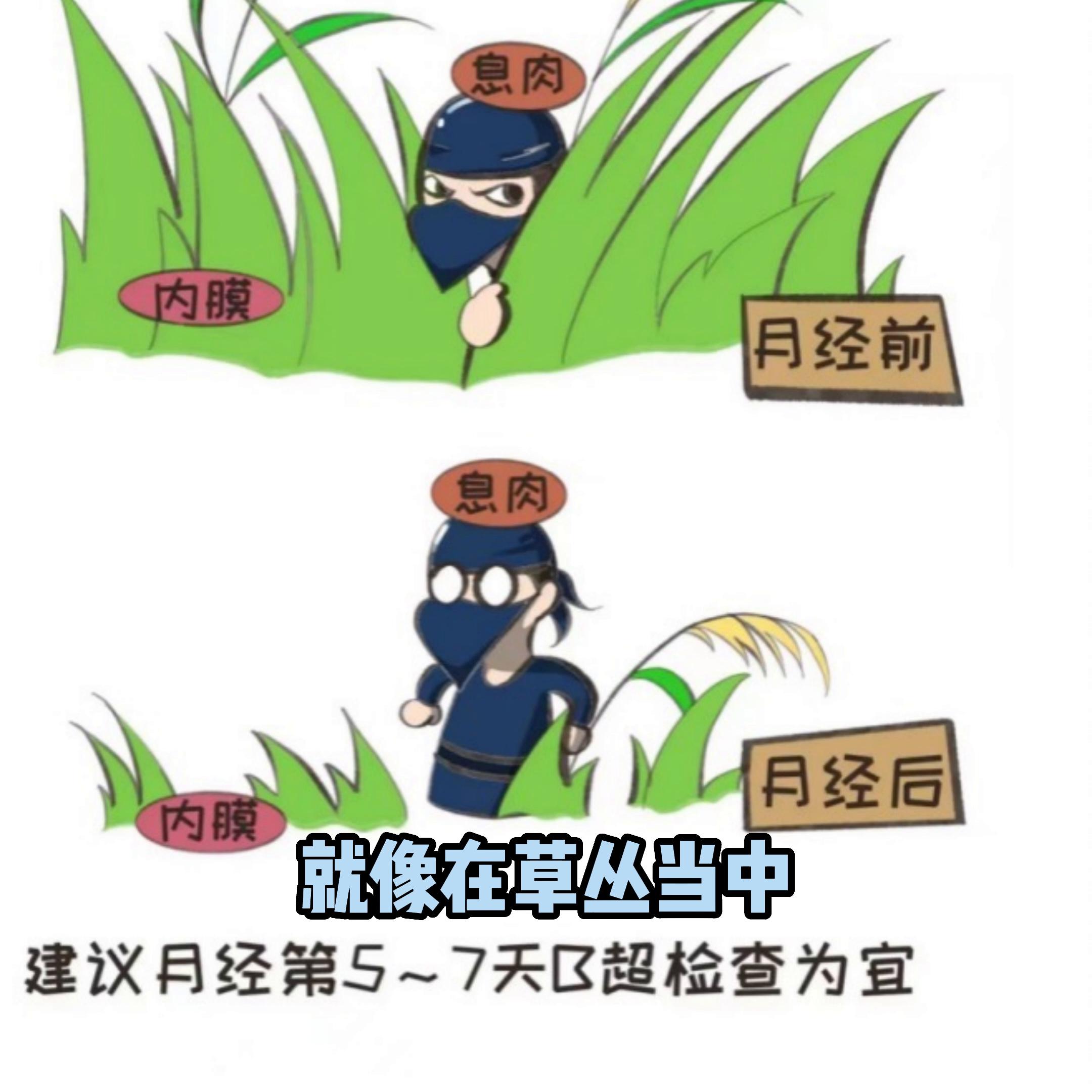 宫颈里长个小芽是息肉吗,宫颈上长小肉粒是怎么回事