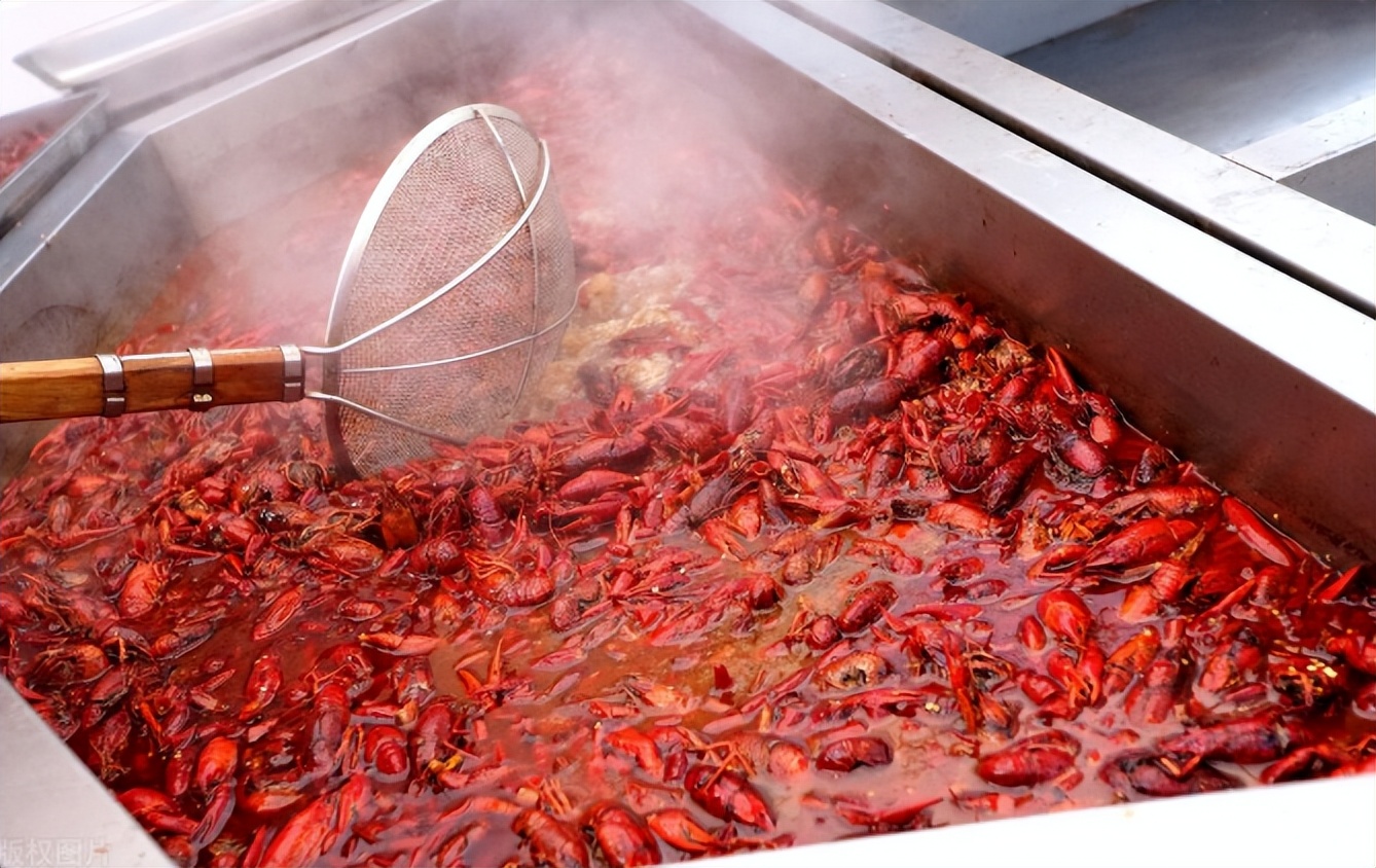 珍珠鳖在美国泛滥了吗,美国珍珠鳖对生态危害