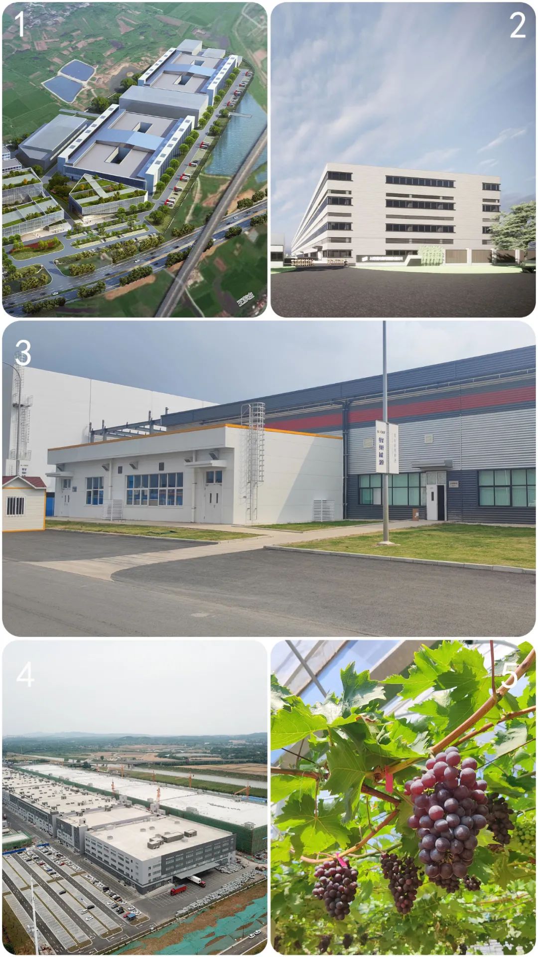 发挥压舱石作用,充分发挥压舱石作用